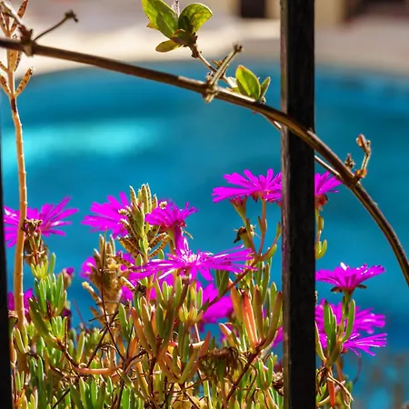 דירה Seaside Bliss: 3 Bedroom With A View *