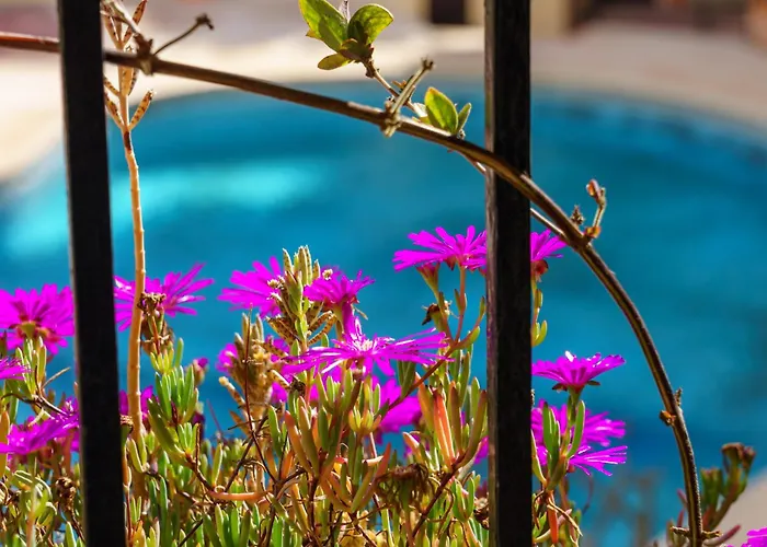 Apartment Seaside Bliss: 3 Bedroom With A View *